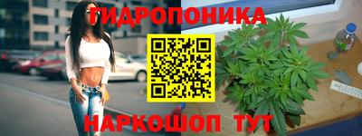 mix Камышлов