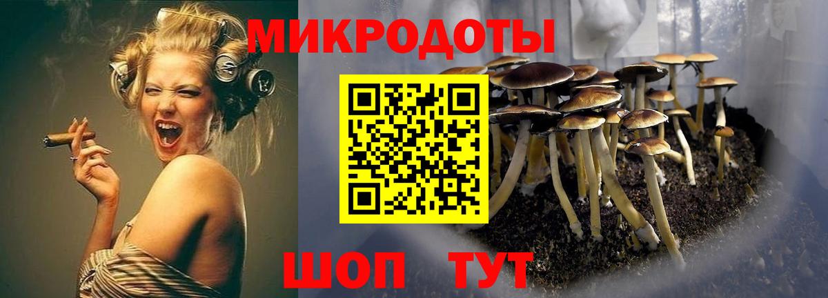 Псилоцибиновые грибы мицелий Корсаков