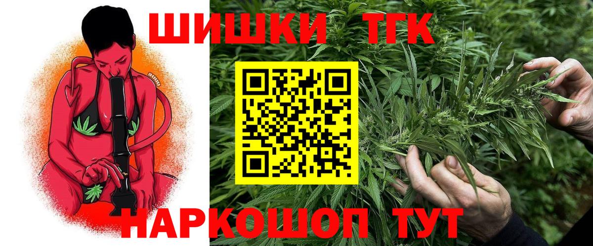 Бошки Шишки план Корсаков
